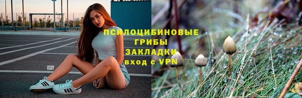 соль ск Лиски