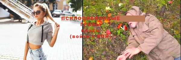соль ск Лиски