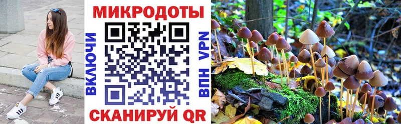 где найти   Нерехта  Галлюциногенные грибы прущие грибы 